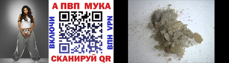 закладки  Кяхта  Alfa_PVP СК 