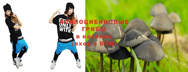 крисы Абинск